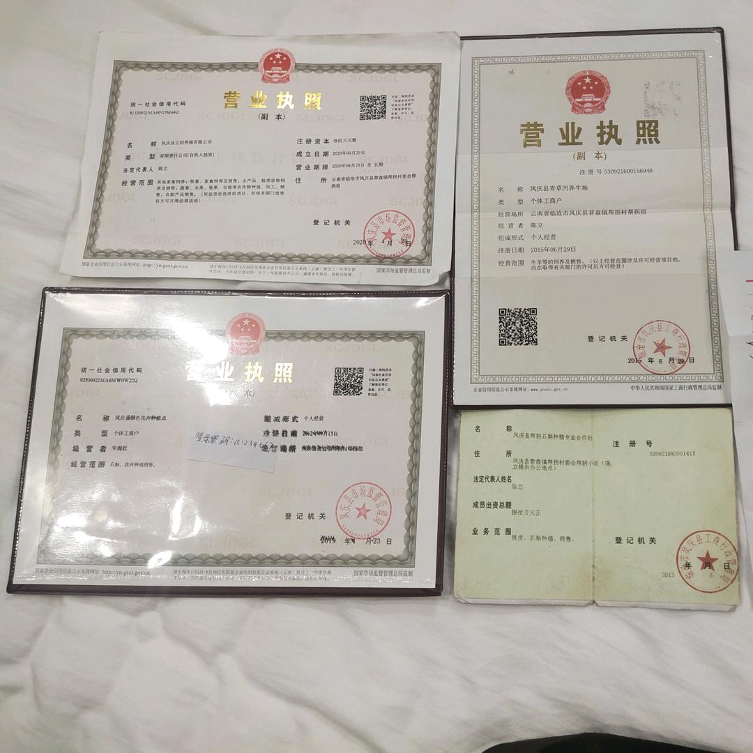 营盘庄园陈哥