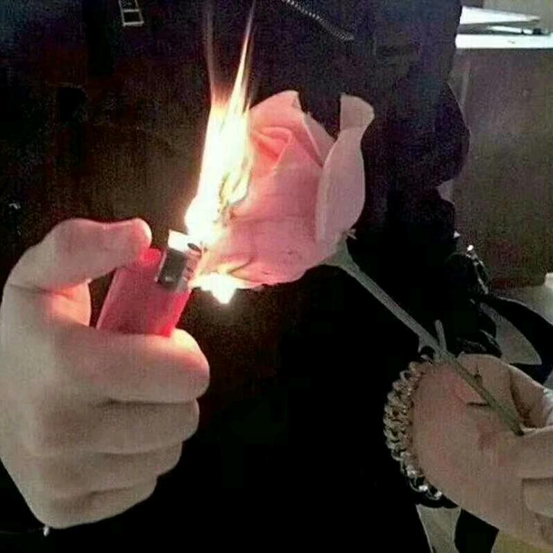 🍂大💔叔🍁