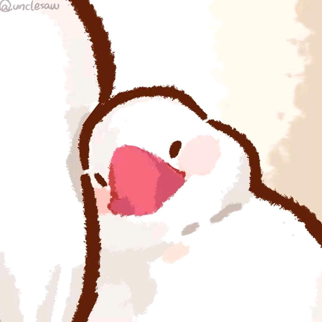 🐻