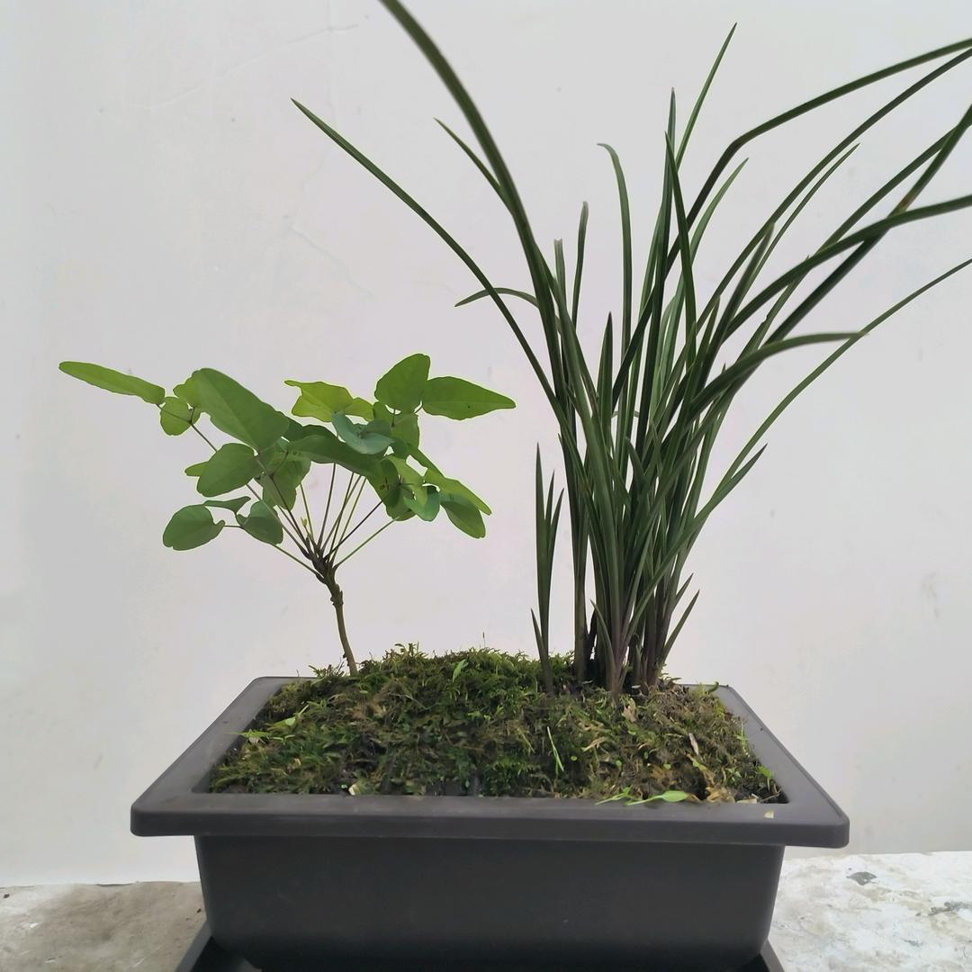 曾经心疼