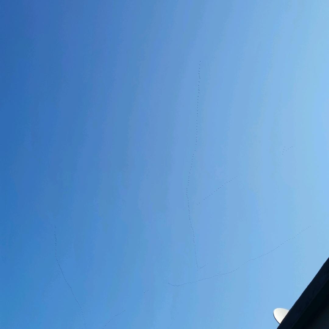 九级浪