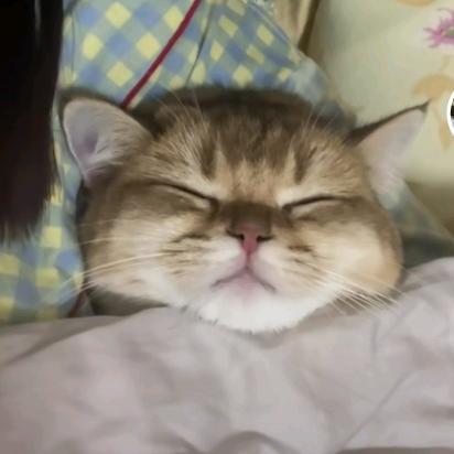 风几里