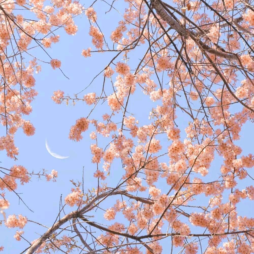 轻舟  已过