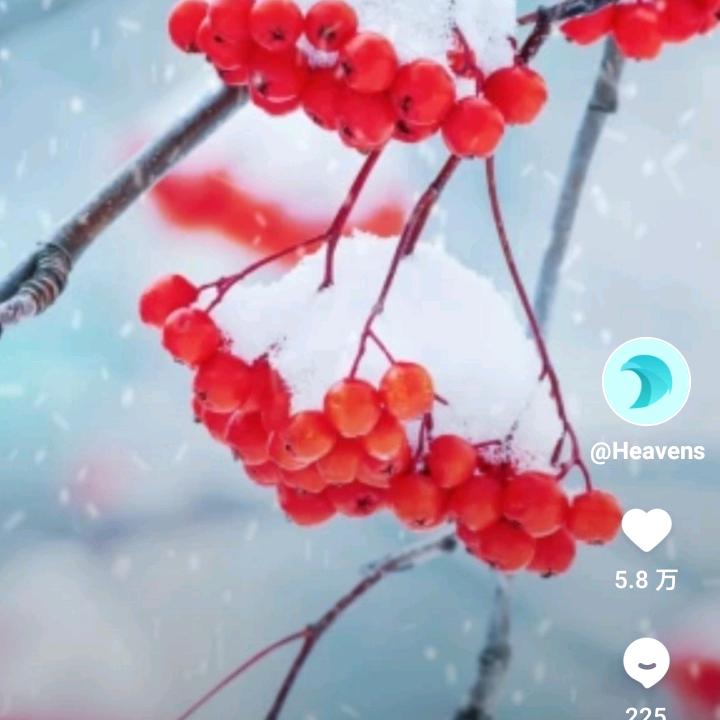 98980012387rt