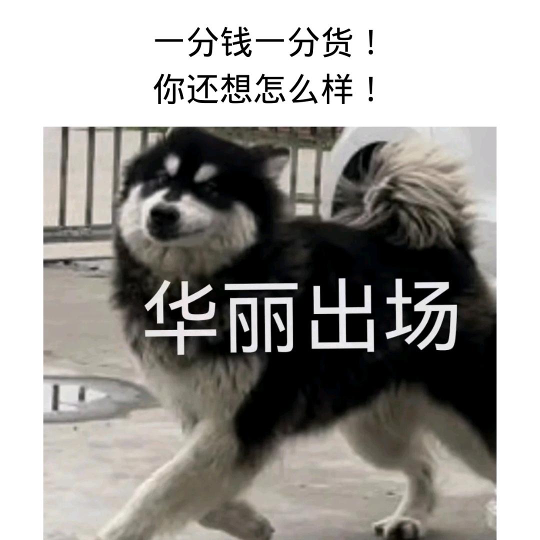 天选富贵大美女