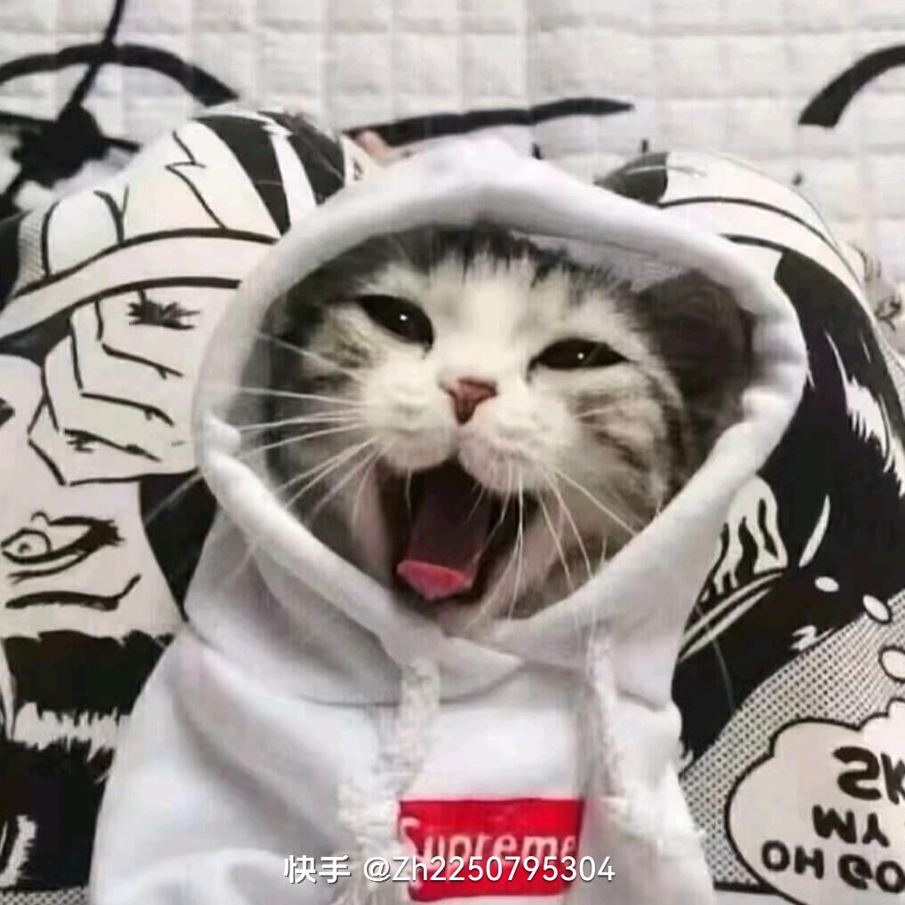 巧克力蛋糕（减肥中……）