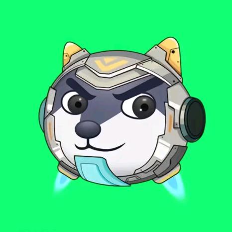 抖音主播闪电狗