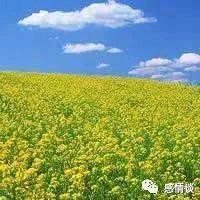老斌哥