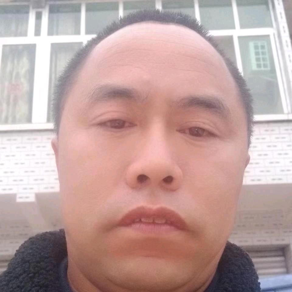 伍伦华，专业草坪，苗木