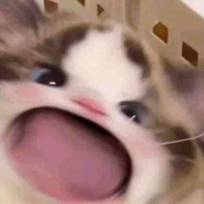 木遇遇