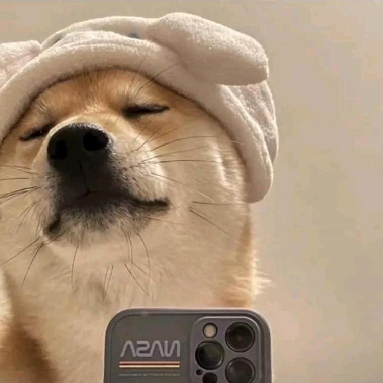 嬴政