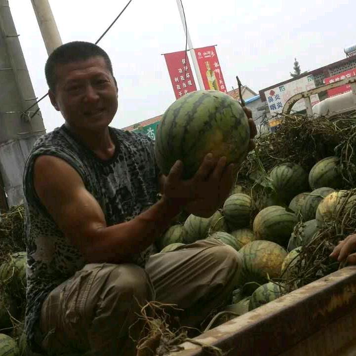 任怀村西瓜小王子