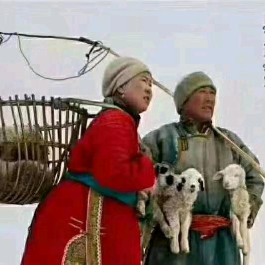 孟格前图🎶🎵🎅