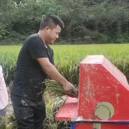 小杨甄选农产品特产