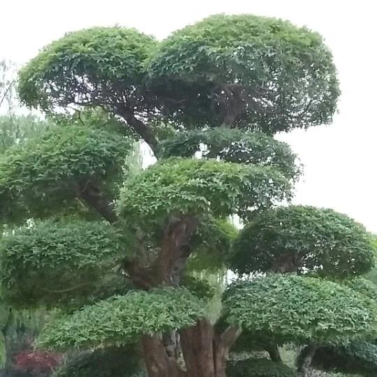 ISO认证引路人
