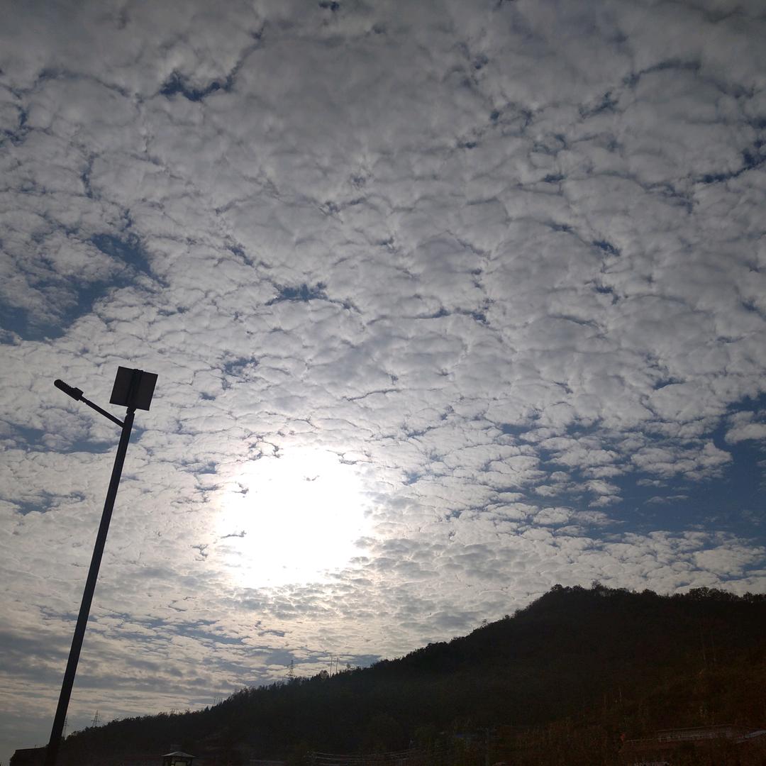 黑土