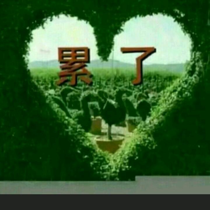 ঞᩚ為祢♡̶҉鎖愛ঞ