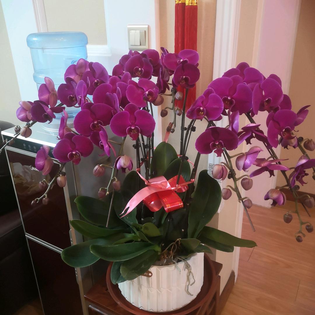 王洁
