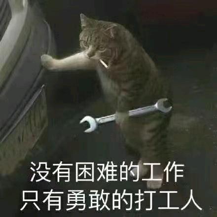 半糖芝士