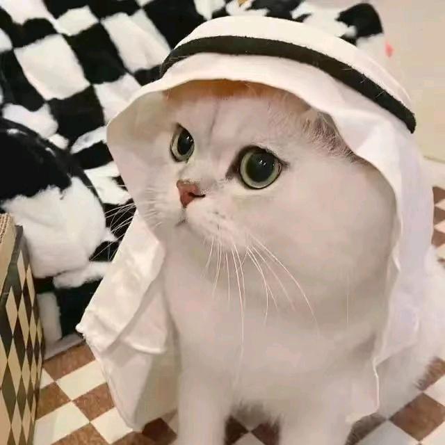 5678
