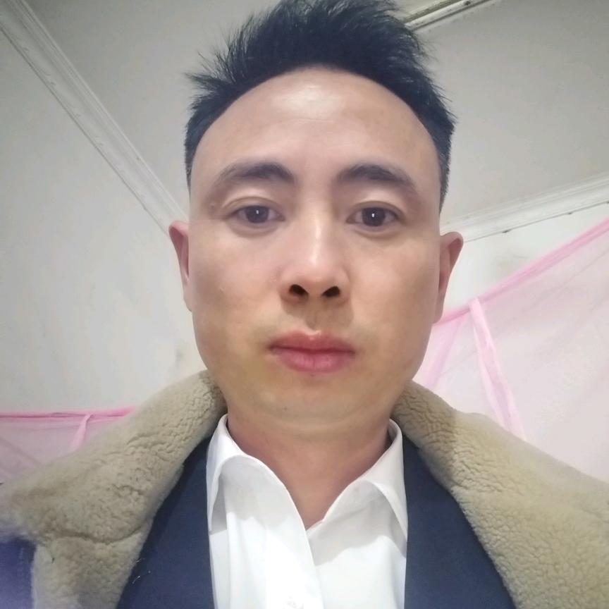 波哥上岸中