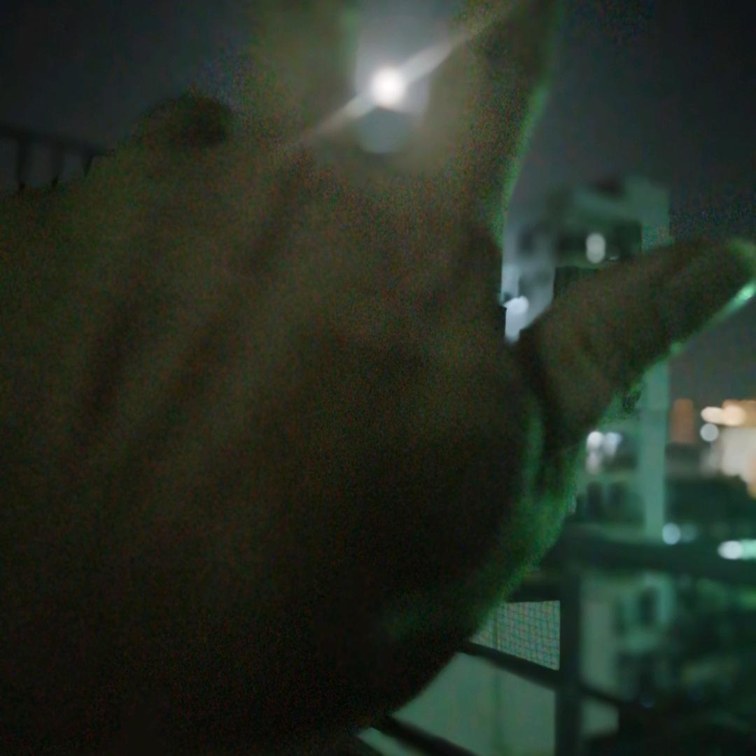 少风雨