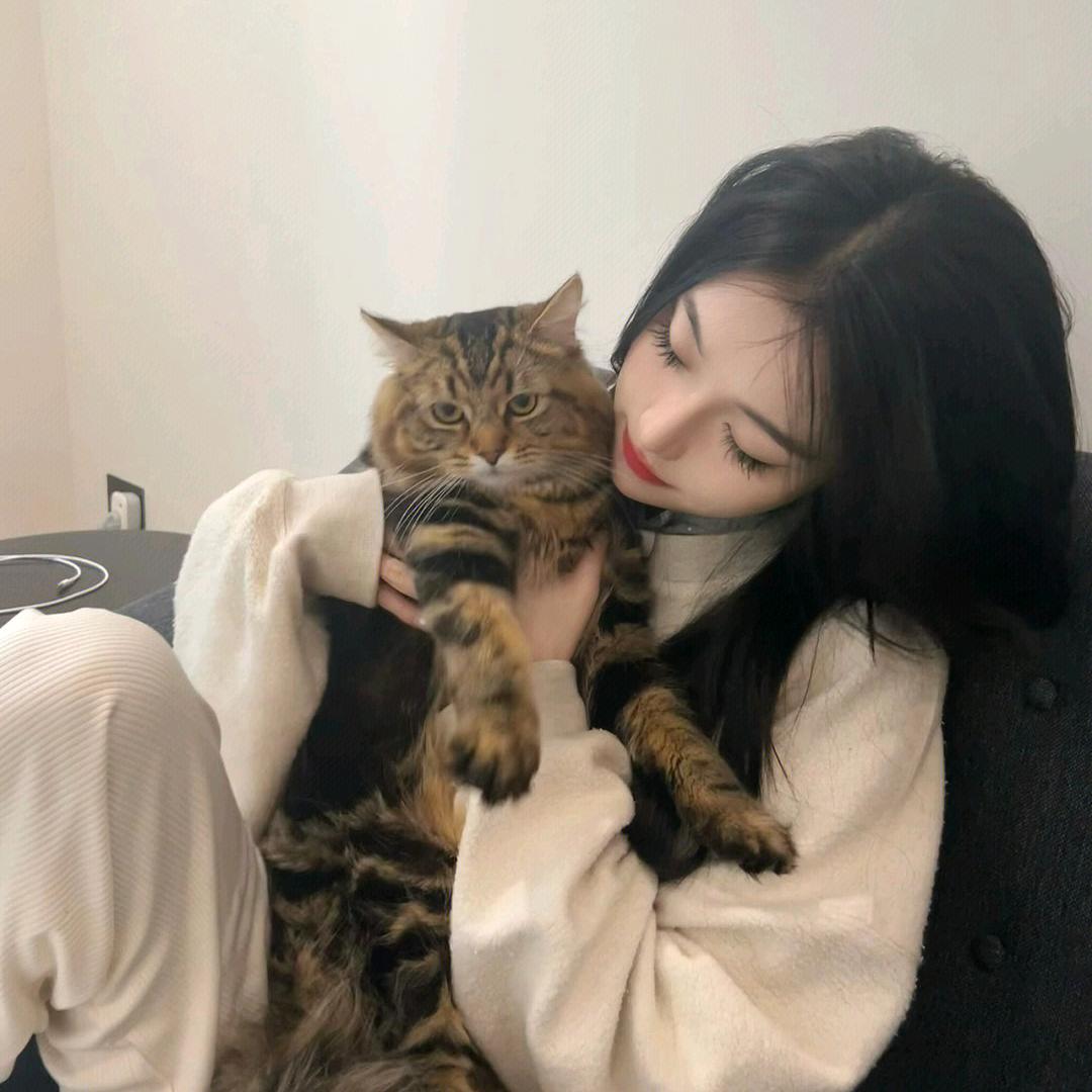 🐼🐻🐯