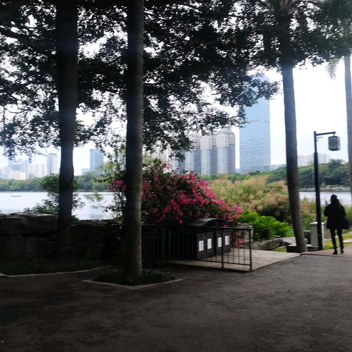 平稳一生