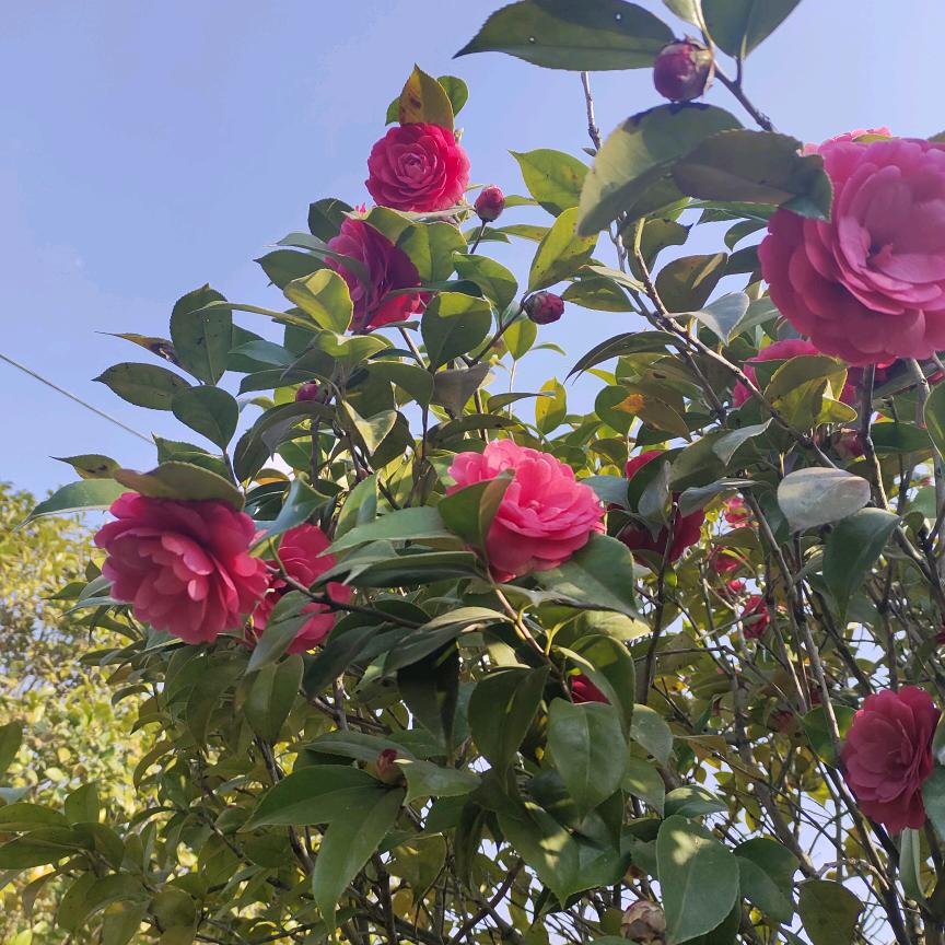 你快乐满意就好