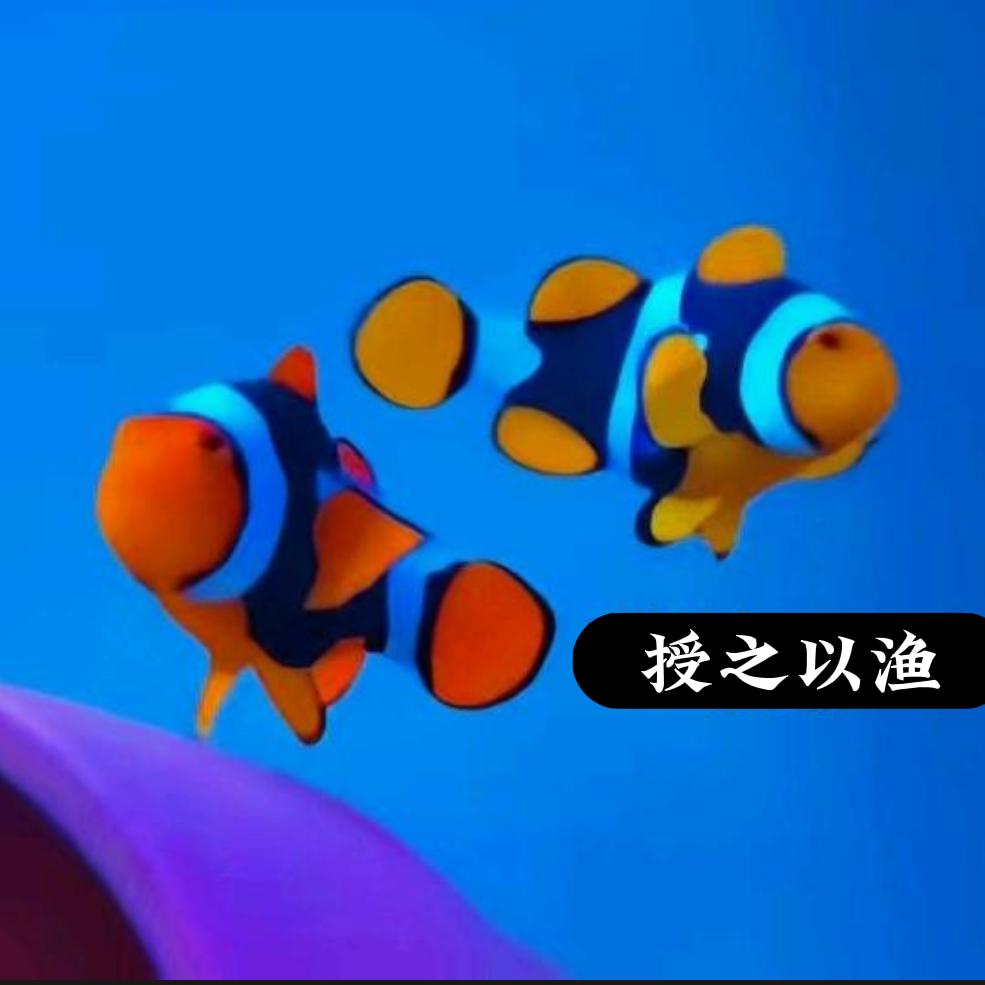 授之以渔/海缸定制/陪跑