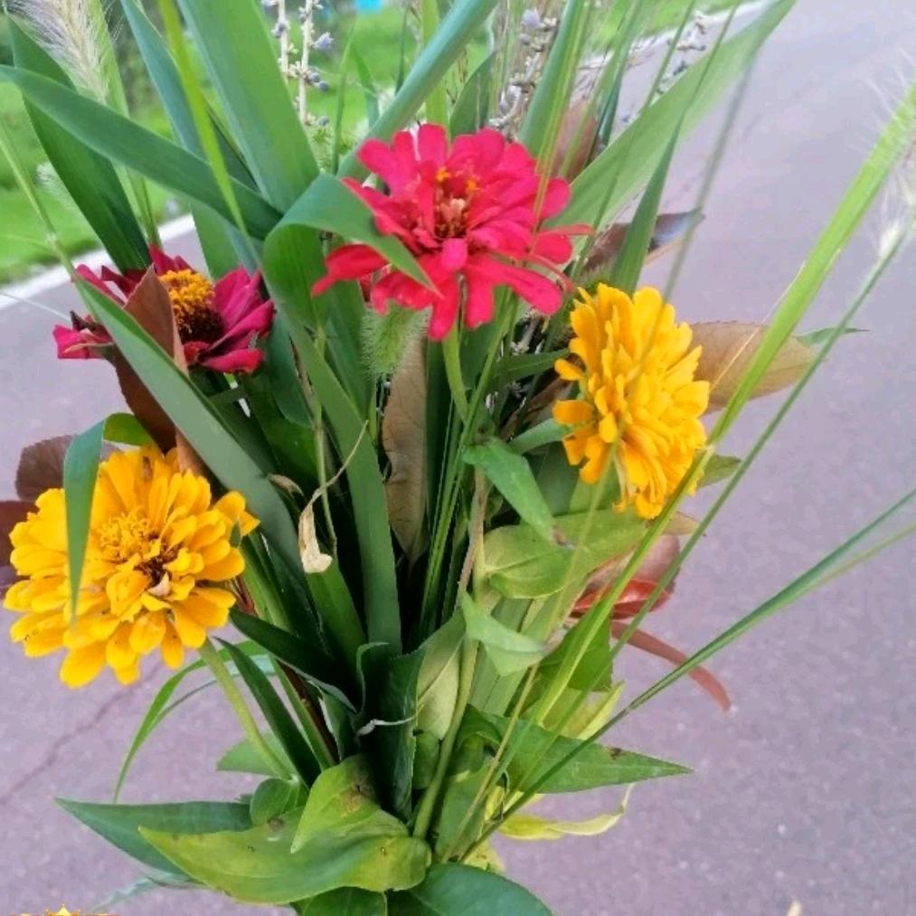 ꧔ℓ᭄: 🚬᭄ཽ࿆思钱٭想厚！