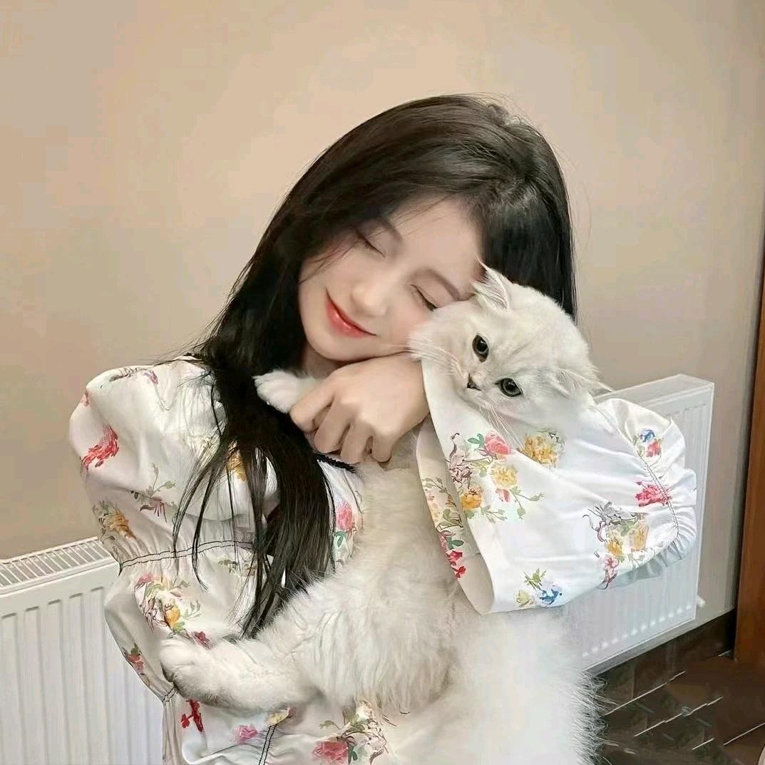 温柔的兔子