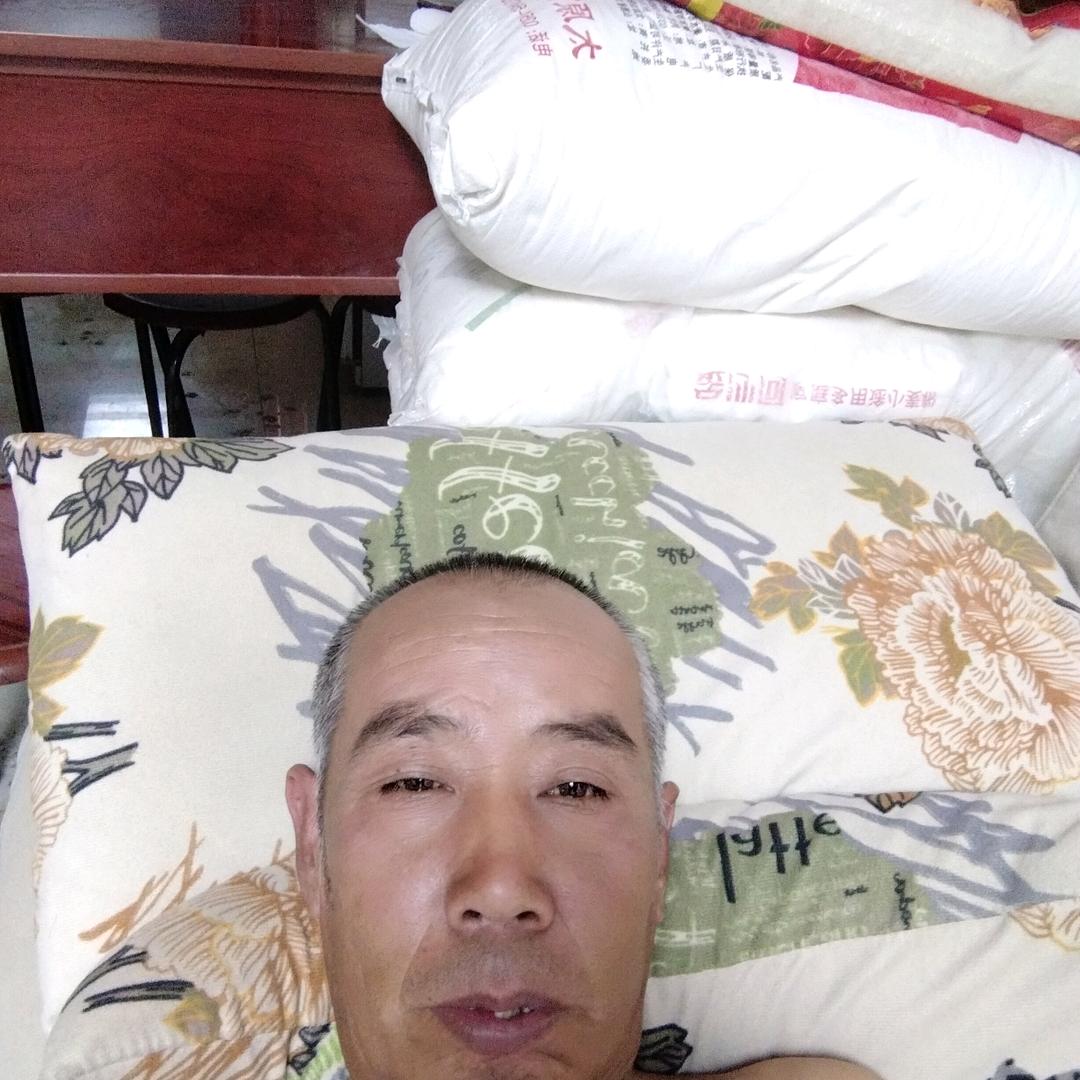 王者归来867
