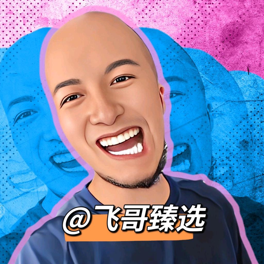 飞哥臻选
