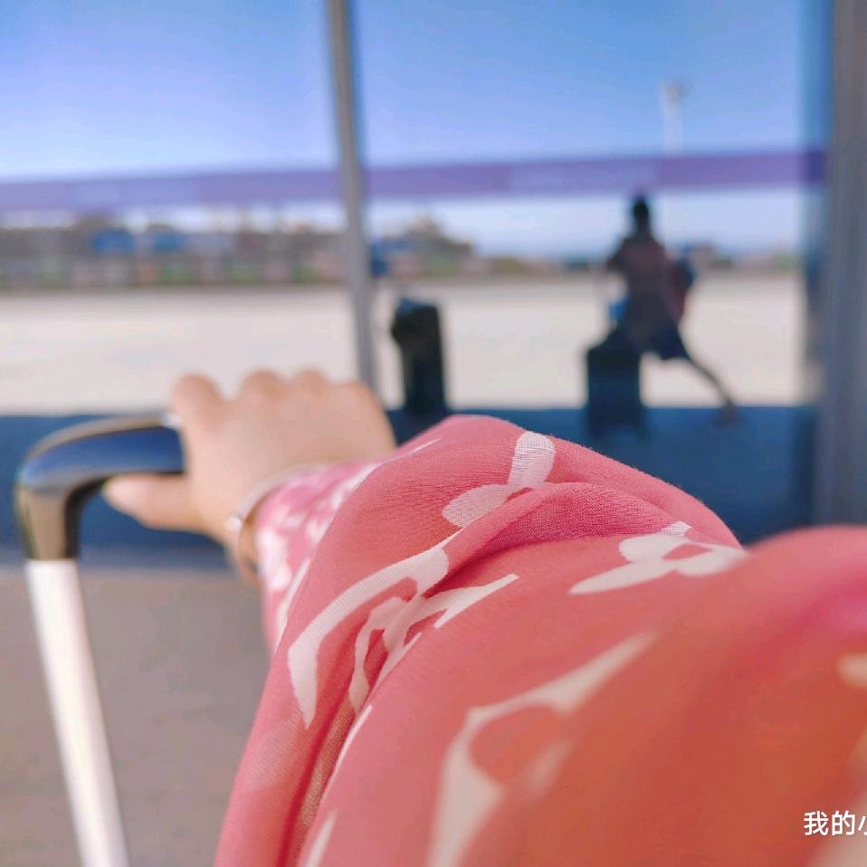 胖胖、
