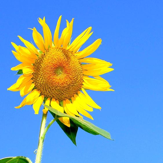 张译方🌞🌞🌞🌞