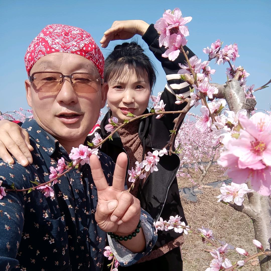 平淡一生