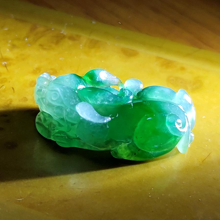 梁缘翡翠