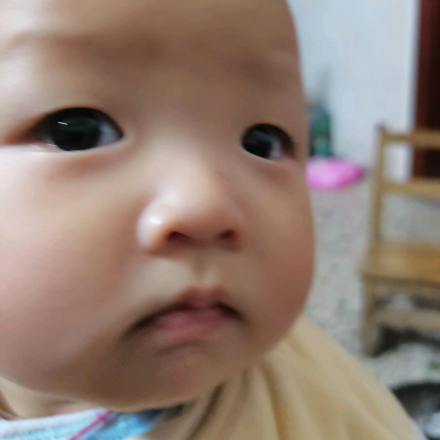 🍅•᎔琪琪•🍅୧⍤⃝🧀