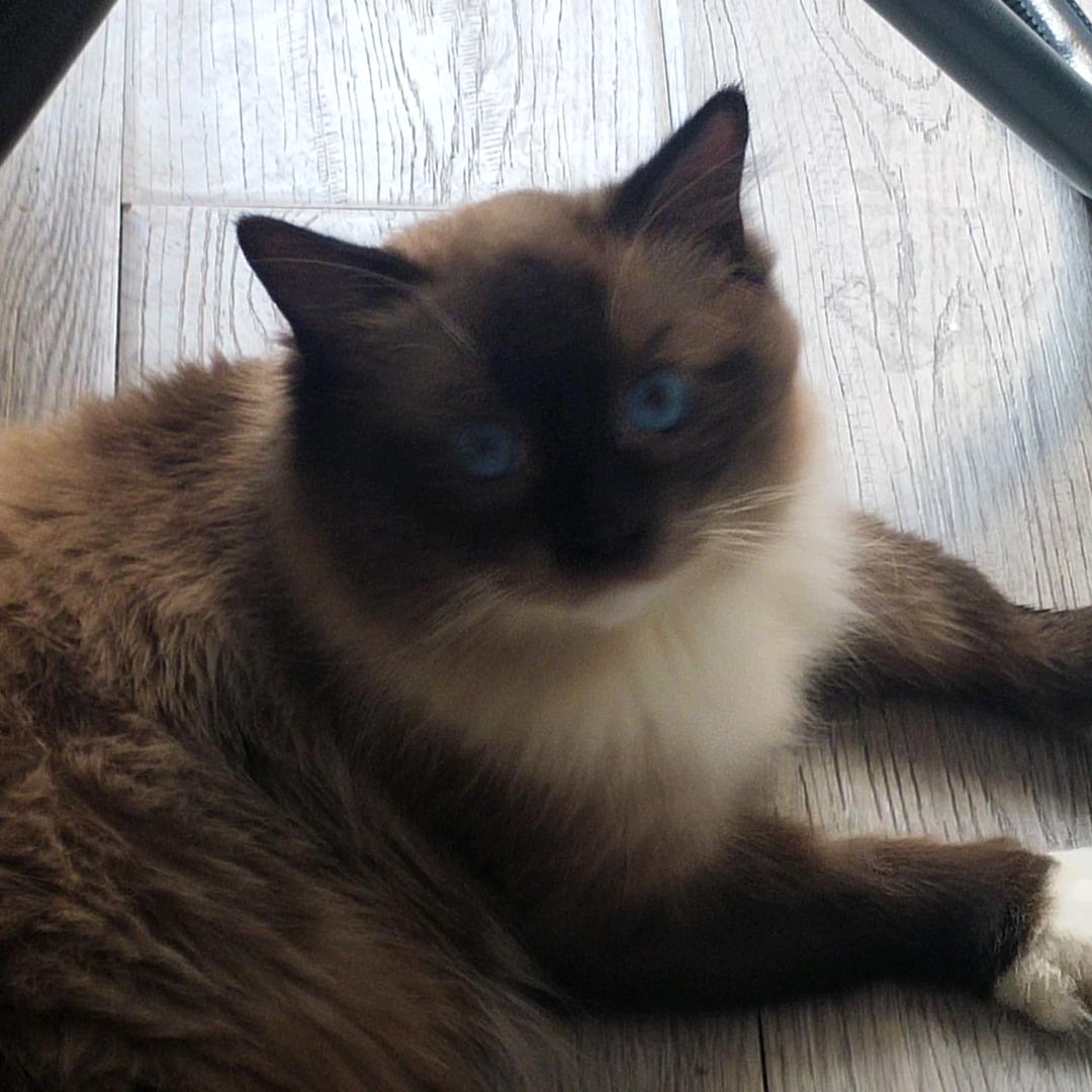 🌈白日梦想家🌈