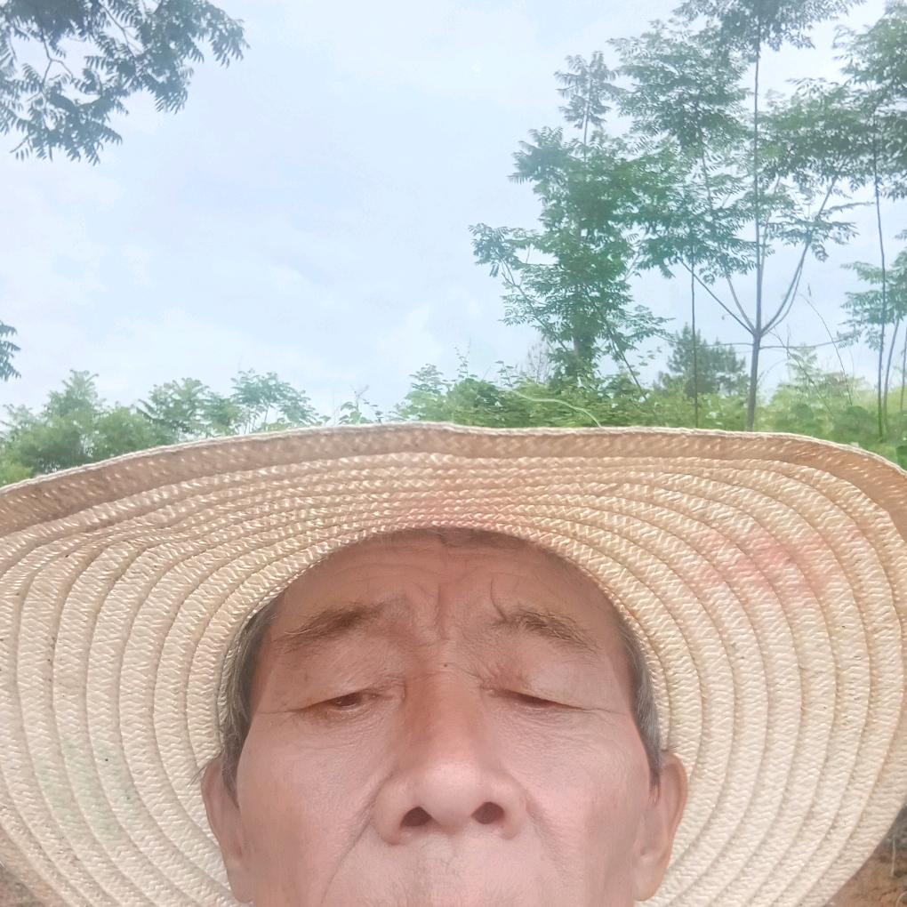 爸爸
