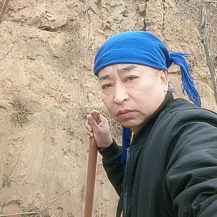 领哥在乡村