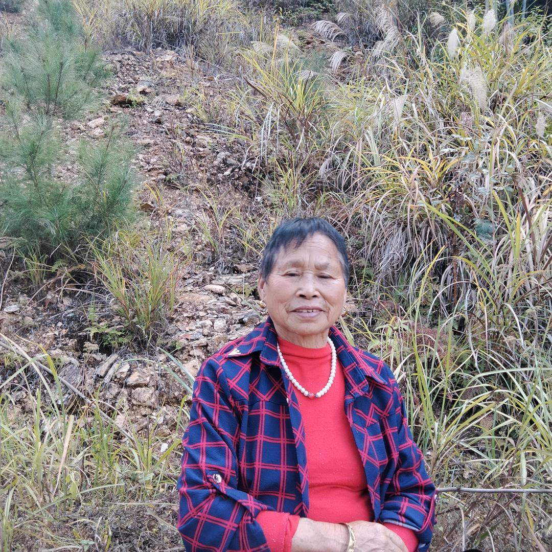 杨家老太太