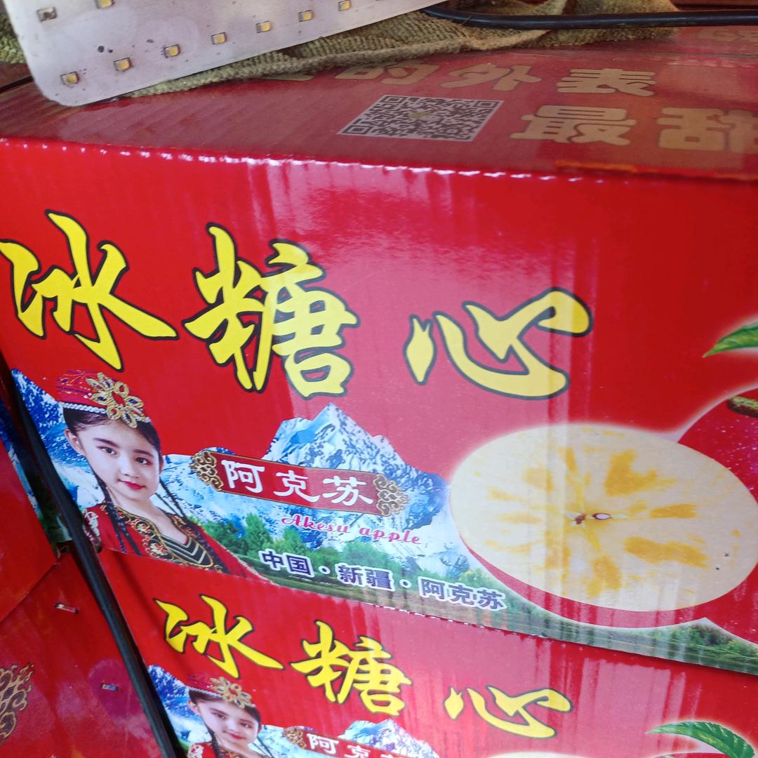 自己的路自己走