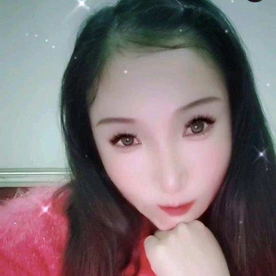 紫陌花影