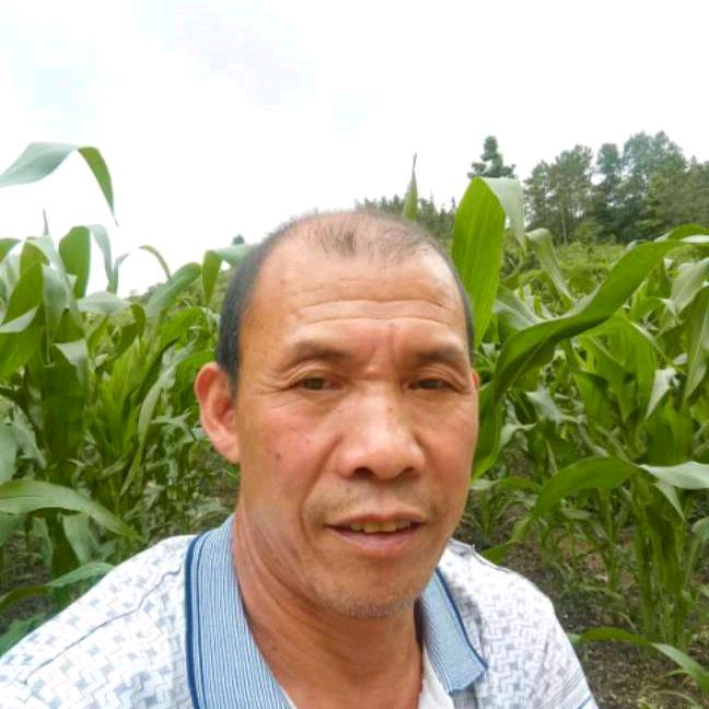 代安平