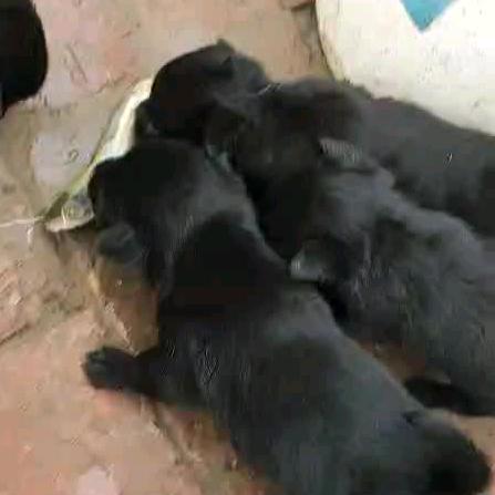 钓鱼人小杰