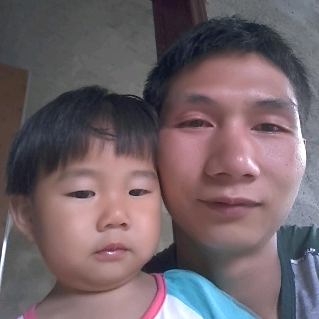 南柯梦中