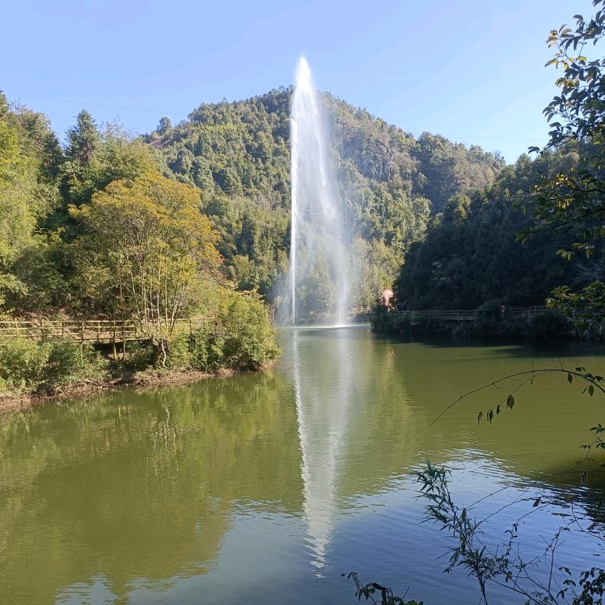 明日阳光