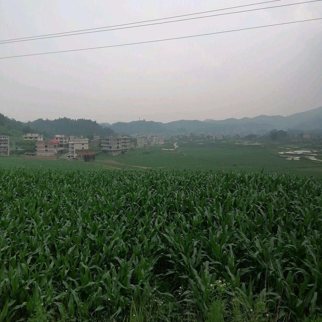游浪天涯